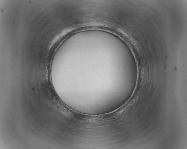 X0000081421262200701261545