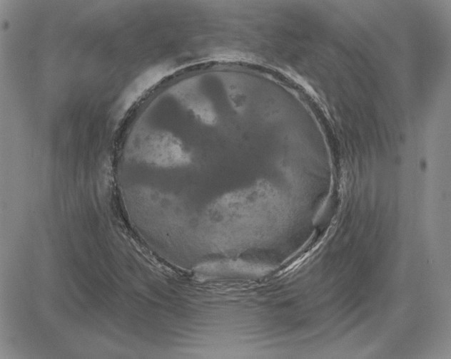 X0000081421263200701261545