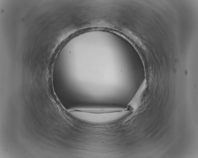 X0000081421264200701261545