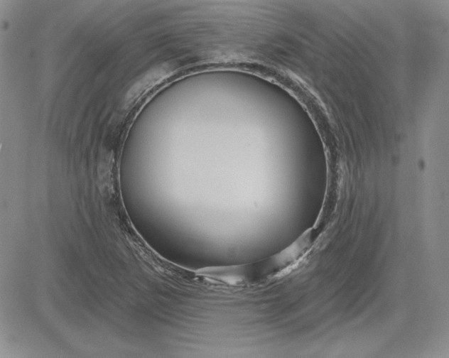 X0000081421265200701261545