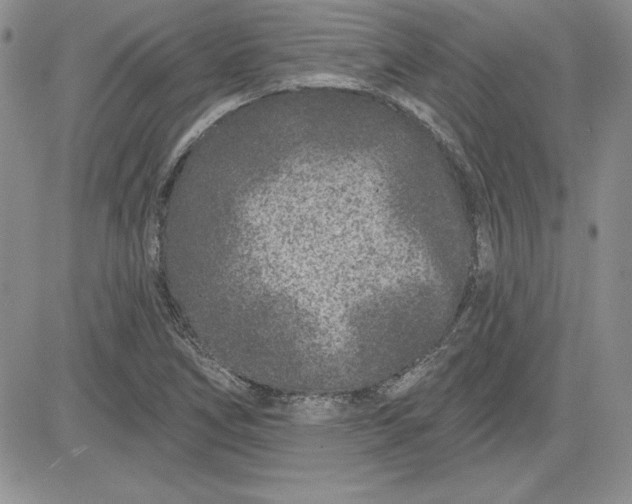 X0000081421266200701261545