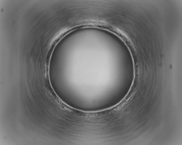 X0000081421267200701261545