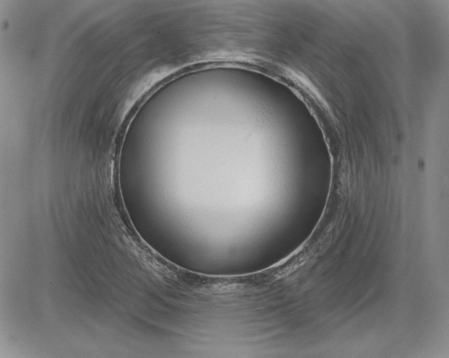 X0000081421268200701261545