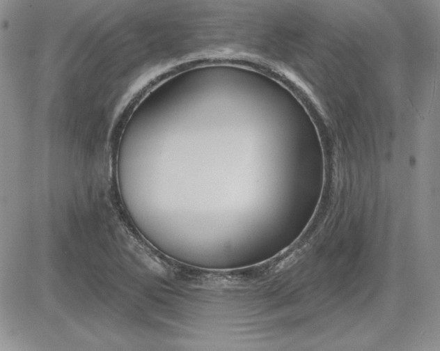 X0000081421270200701261545