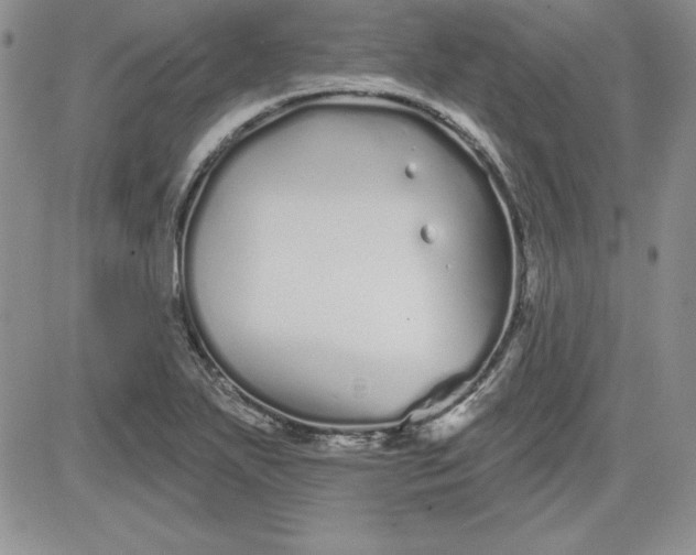 X0000081421271200701261545