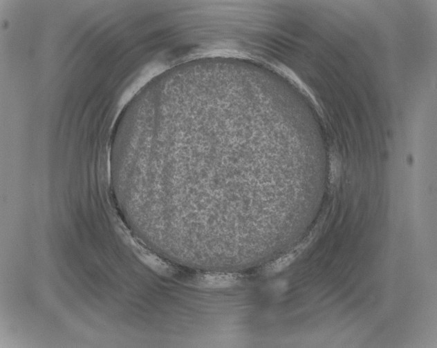 X0000081421274200701261545