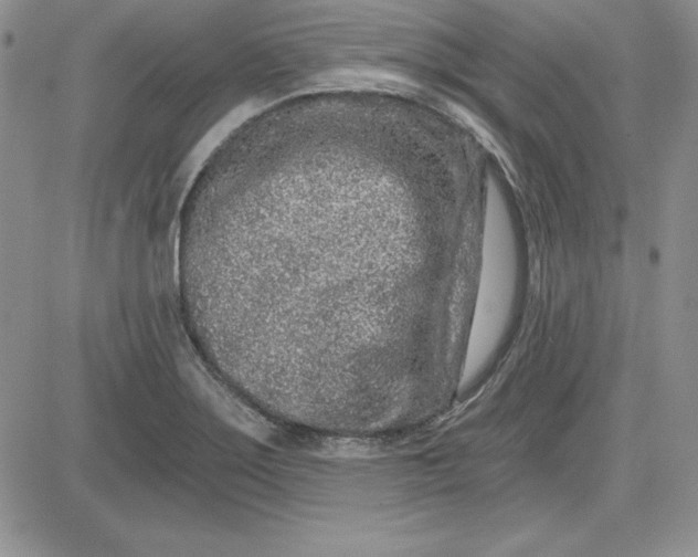 X0000081421275200701261545