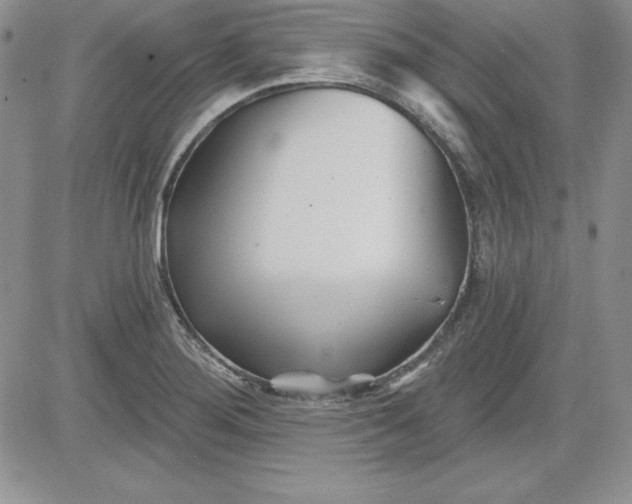 X0000081421276200701261545