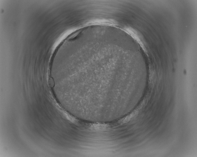 X0000081421277200701261545