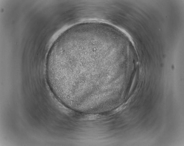 X0000081421279200701261545