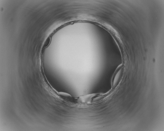 X0000081421280200701261544