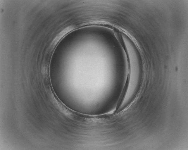 X0000081421281200701261544