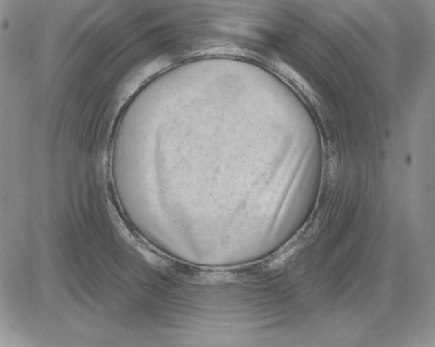 X0000081421282200701261544