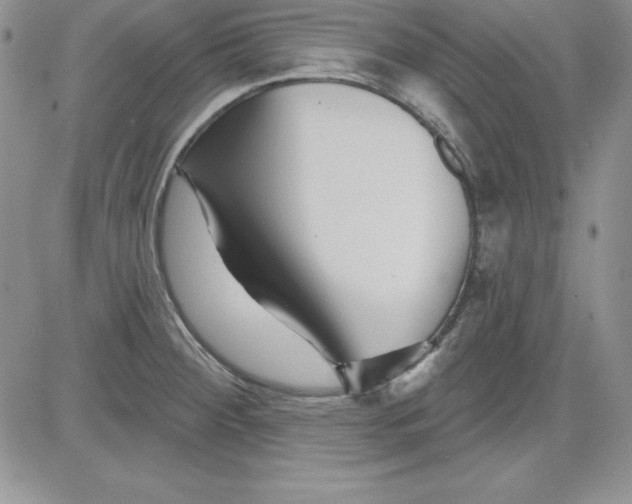 X0000081421284200701261544