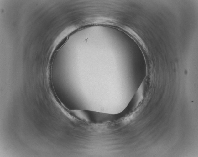 X0000081421285200701261544