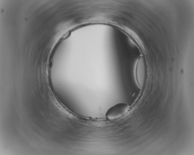 X0000081421288200701261544