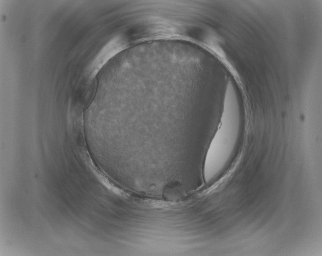 X0000081421289200701261544