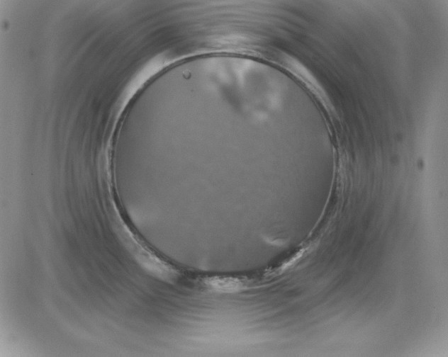 X0000081421291200701261544