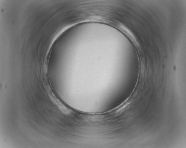 X0000081421292200701261544