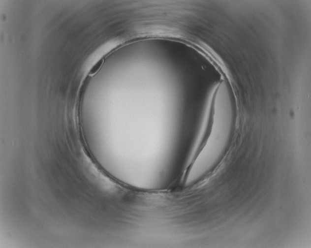 X0000081421293200701261544