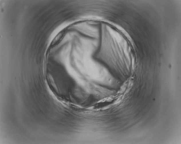 X0000081421295200701261544