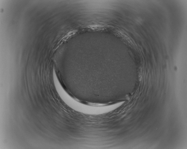 X0000081421298200701261543