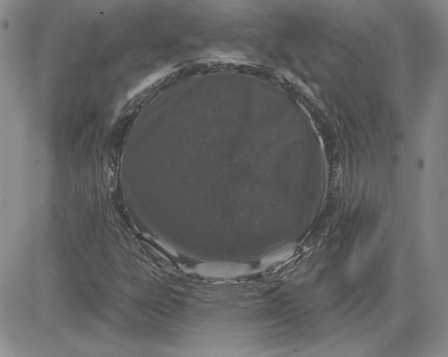 X0000081421303200701261544