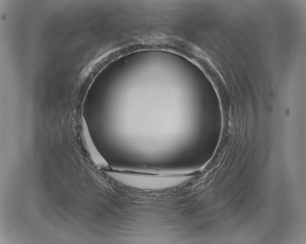 X0000081421304200701261544