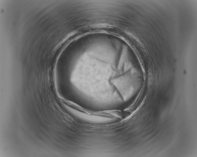 X0000081421305200701261544