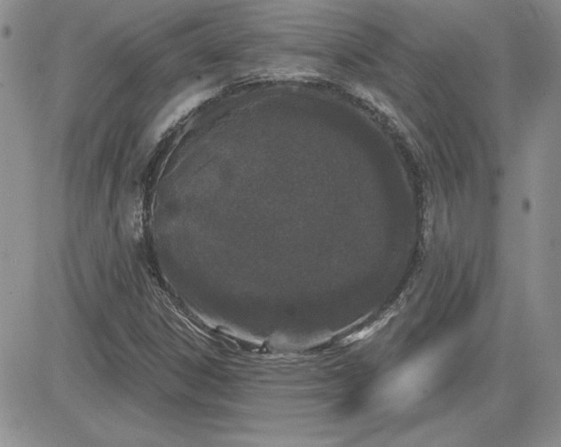 X0000081421306200701261544