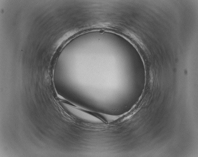 X0000081421308200701261544