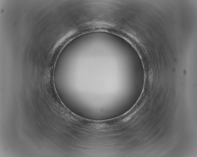 X0000081421309200701261544