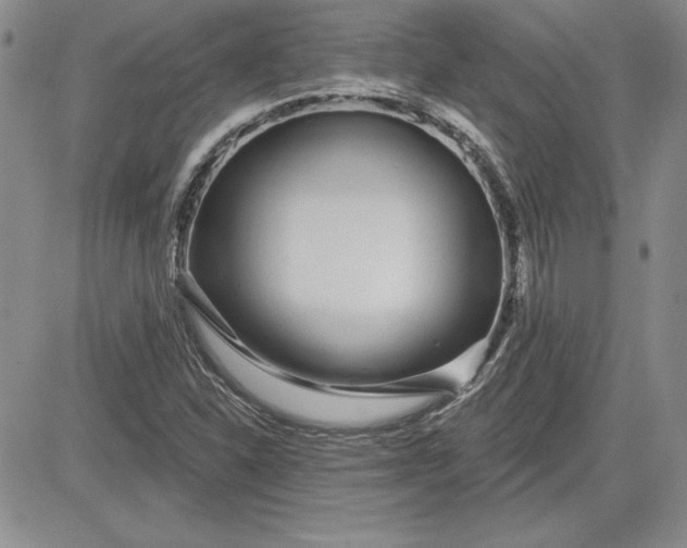 X0000081421310200701261544