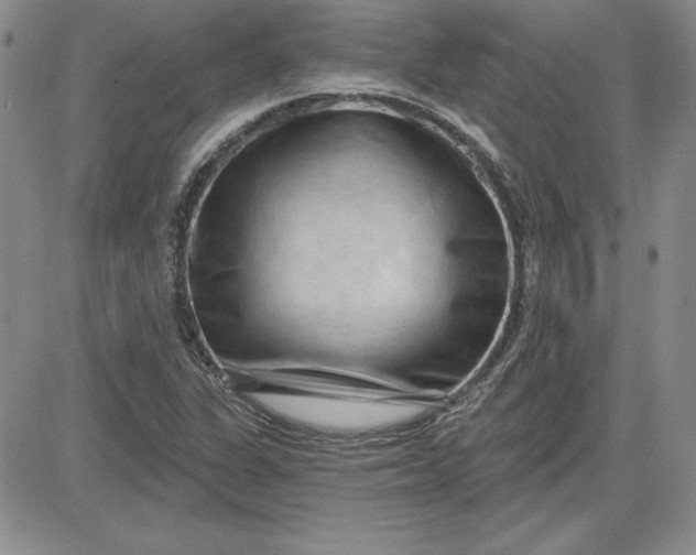 X0000081421311200701261544