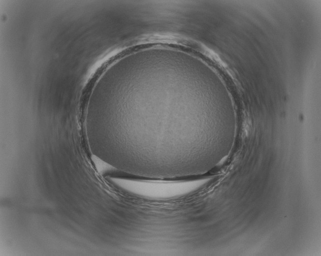 X0000081421312200701261544