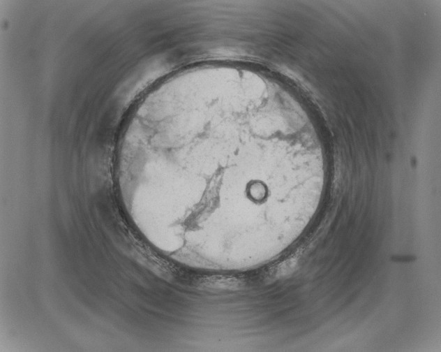 X0000081421314200701261544