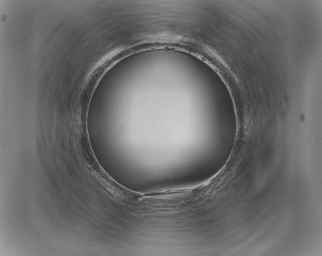 X0000081421315200701261544