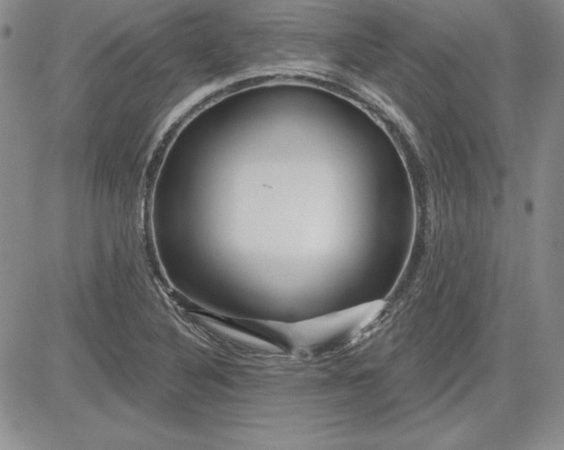 X0000081421316200701261544