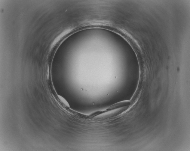 X0000081421317200701261544