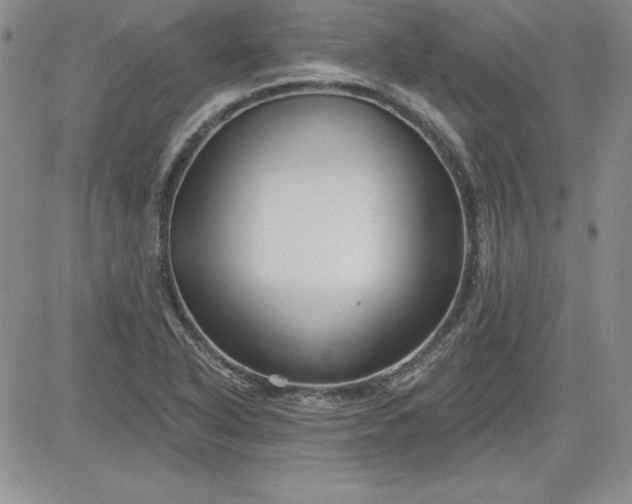 X0000081421318200701261544