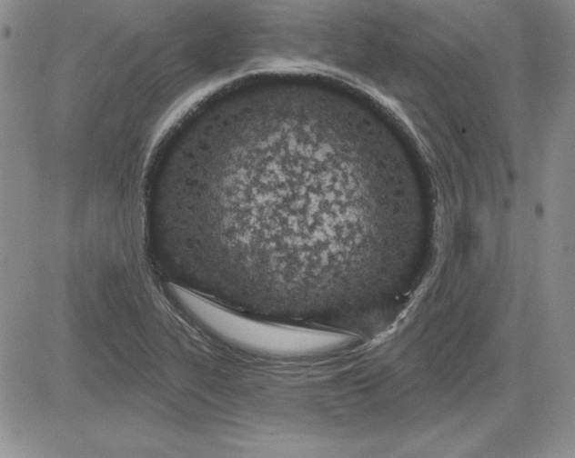 X0000081421319200701261544