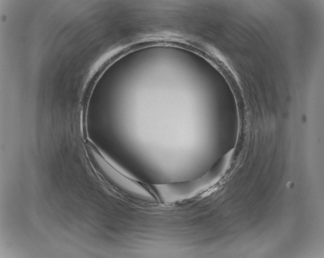 X0000081421320200701261544