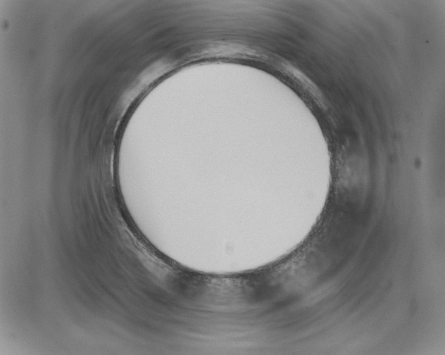 X0000081421322200701261544