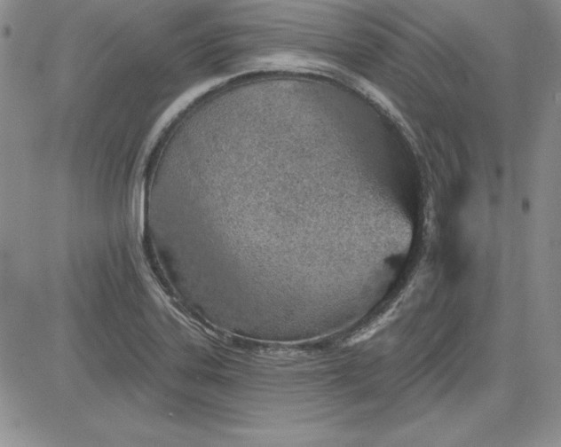 X0000081421323200701261544