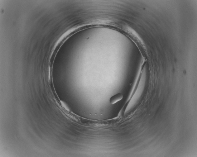 X0000081421324200701261544