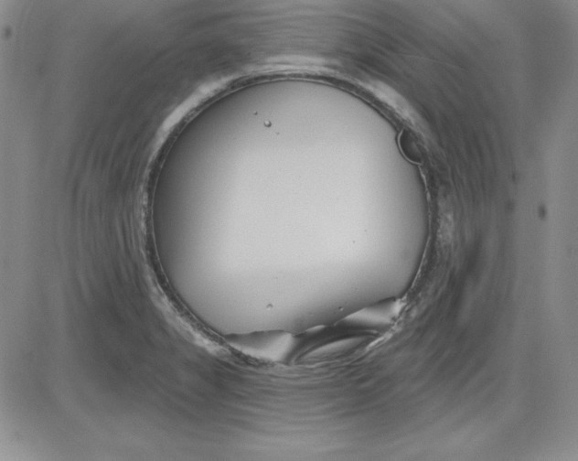 X0000081421325200701261544