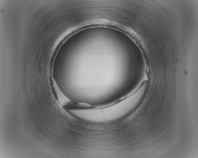 X0000081421326200701261544