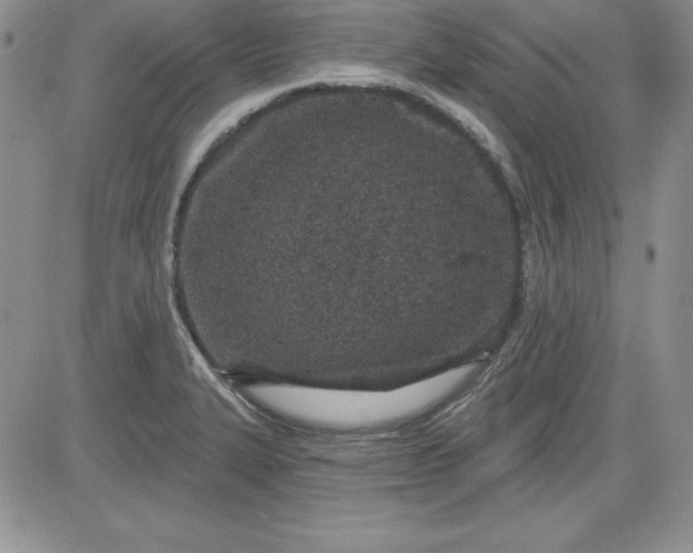 X0000081421327200701261544