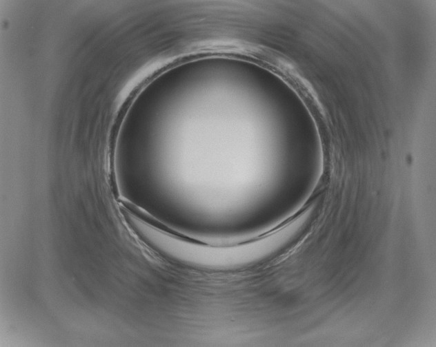 X0000081421328200701261544