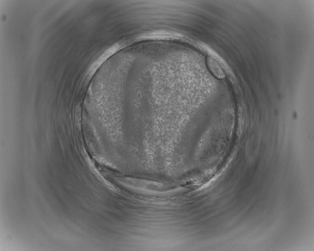 X0000081421329200701261544